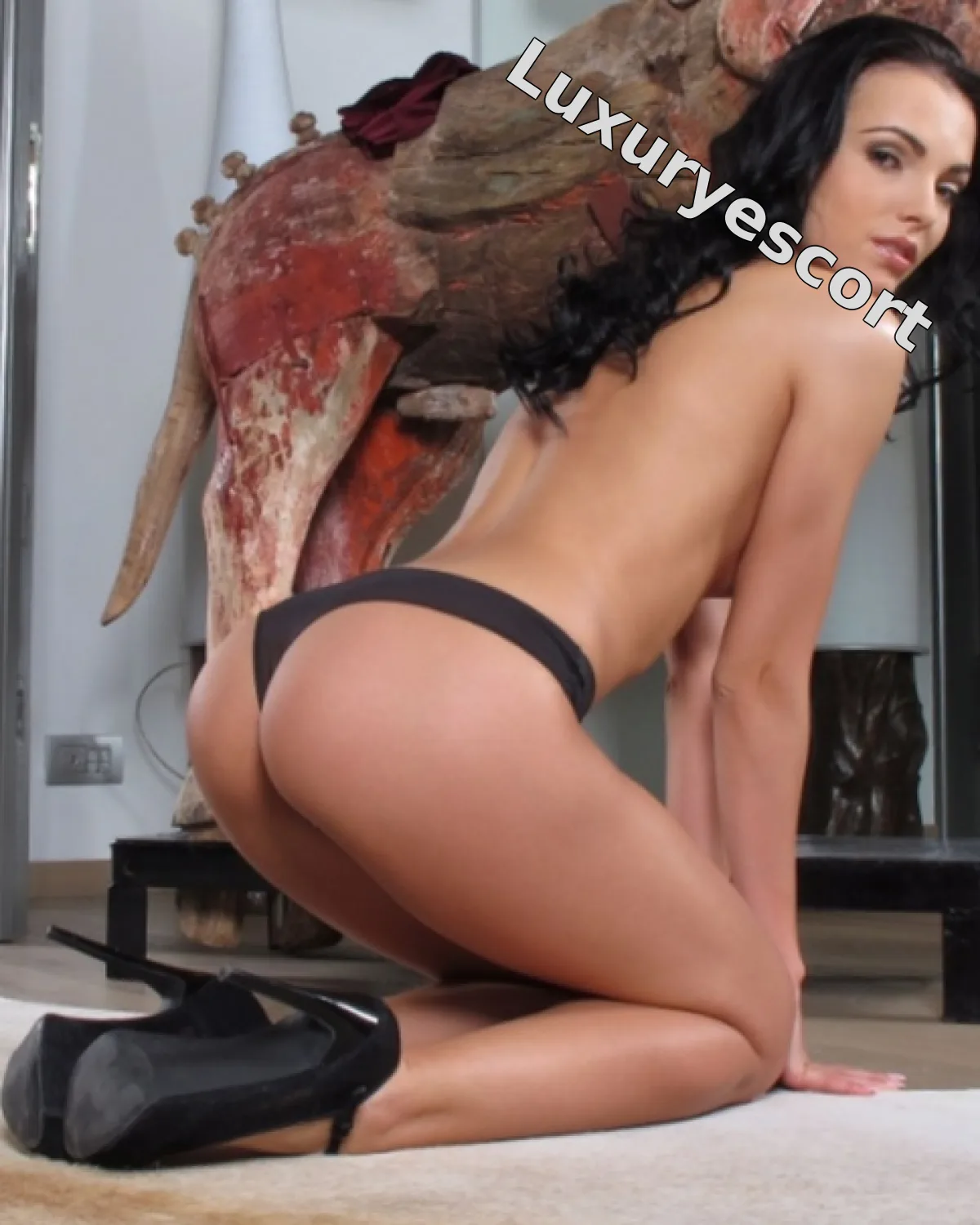Nagehan fotoğraf 3
