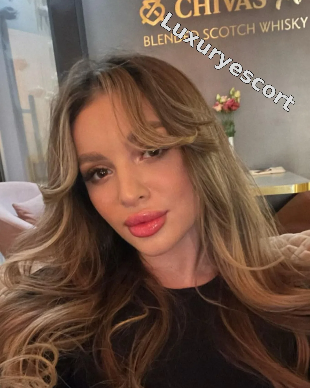 سويتا — مرافقة إسطنبول، الصورة 8